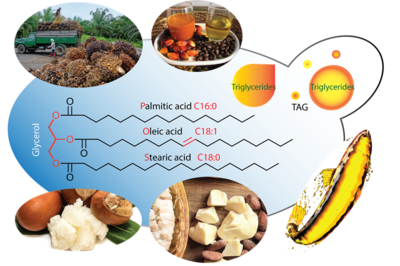 &ldquo;廣以范&rdquo;初創公司完成預種子輪投資