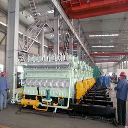 濰坊生物質(zhì)發(fā)電機組 重能動力解決方案與財務咨詢